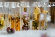 Close-up of assorted dry flowers immersed in glass vials, ideal for natural fragrance products.